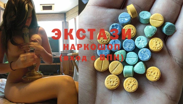 гашик Пересвет