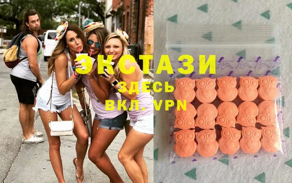 гашик Пересвет