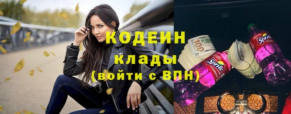 гашик Пересвет