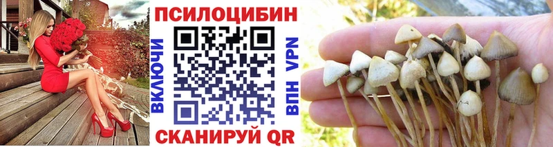 Галлюциногенные грибы MAGIC MUSHROOMS  Тюкалинск 